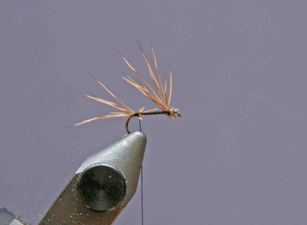 Montage de mouche