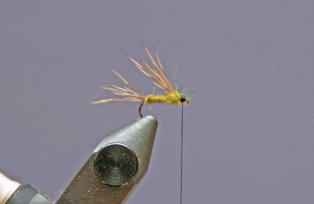 Montage de mouche