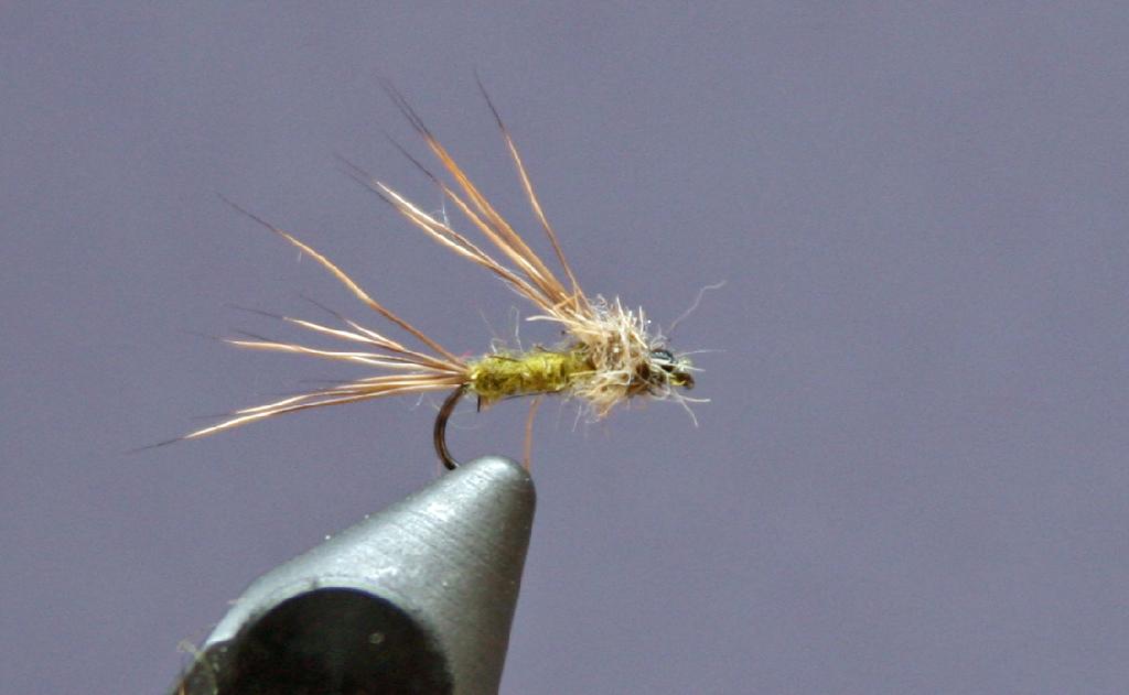 Montage de mouche