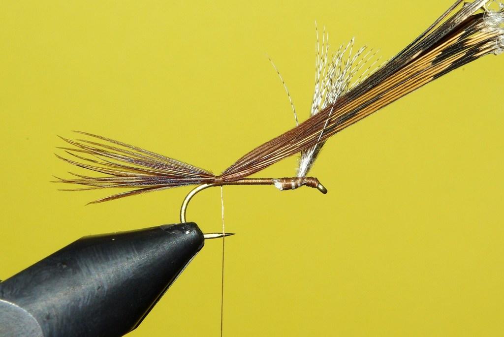 Montage de mouche
