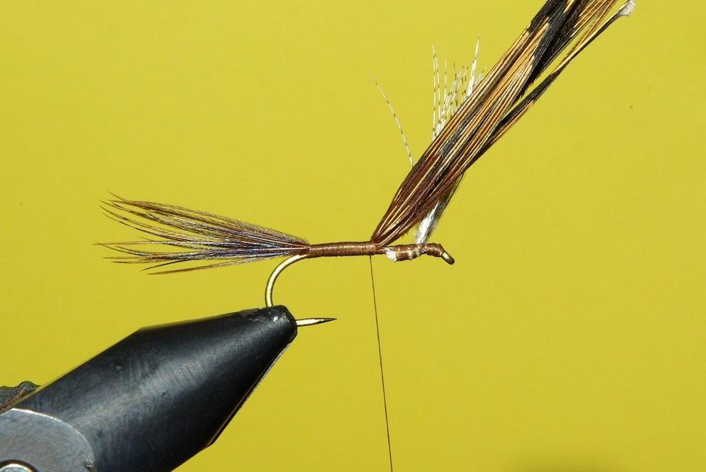 Montage de mouche