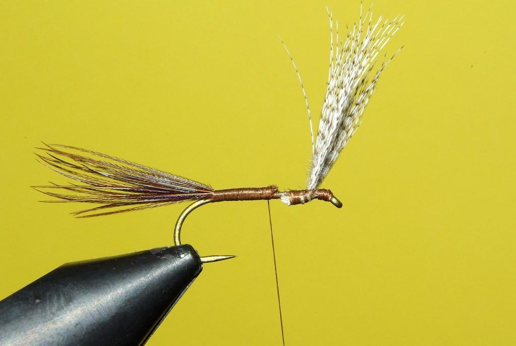 Montage de mouche