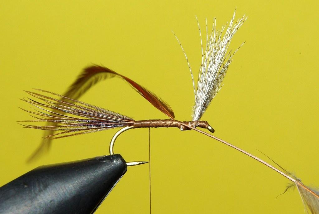 Montage de mouche