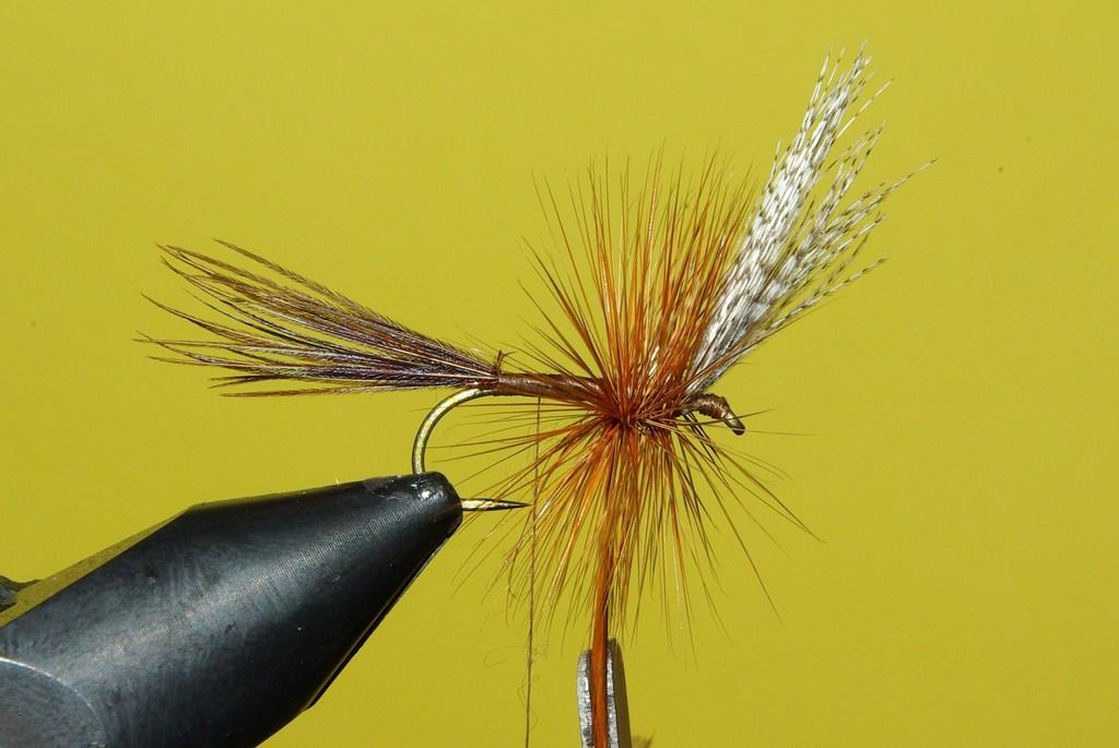 Montage de mouche
