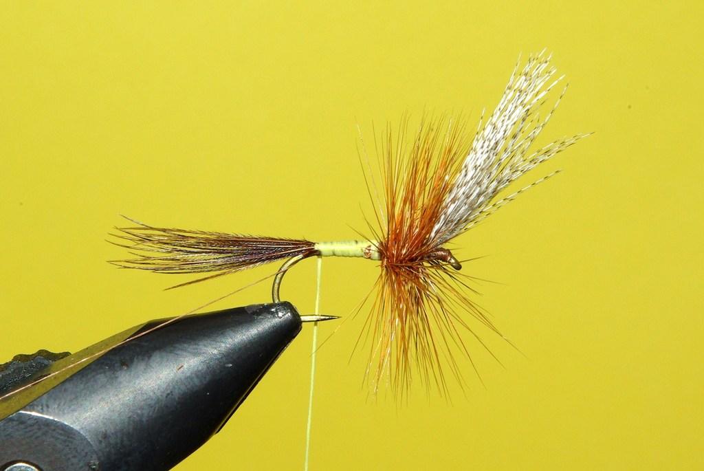 Montage de mouche