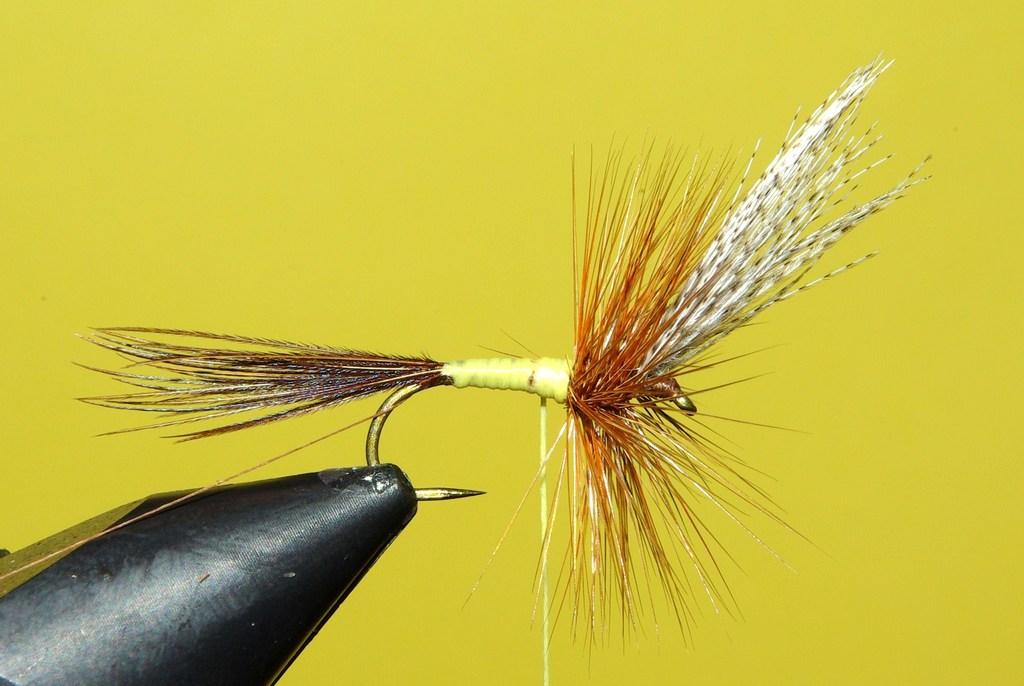 Montage de mouche