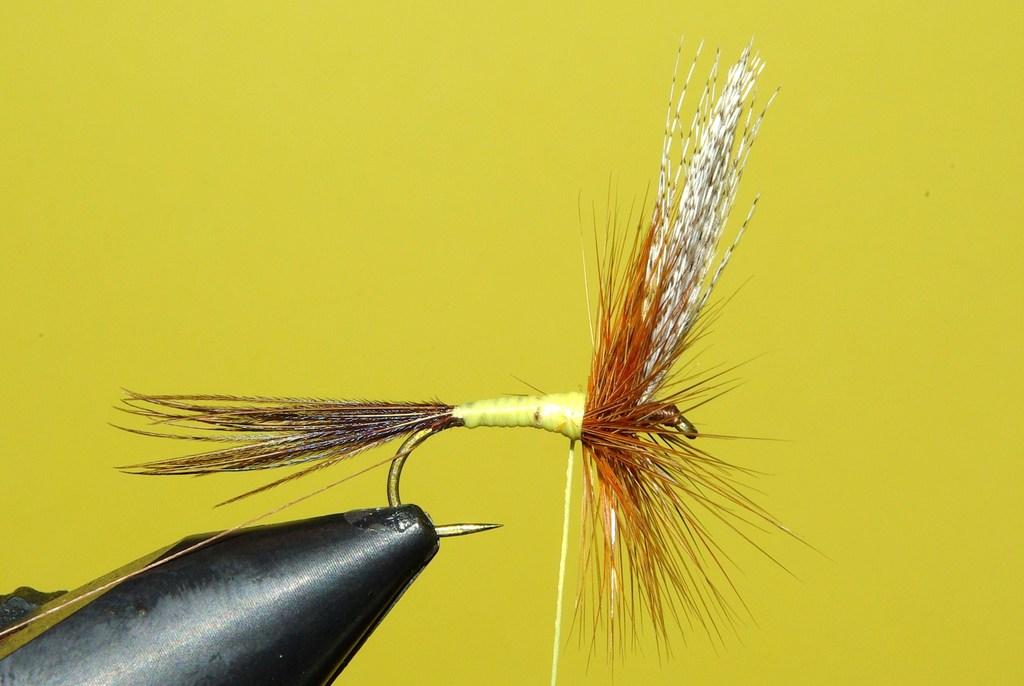 Montage de mouche