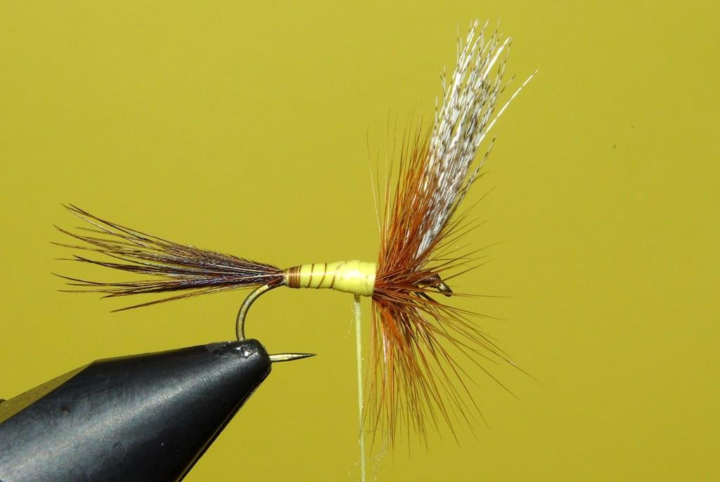 Montage de mouche