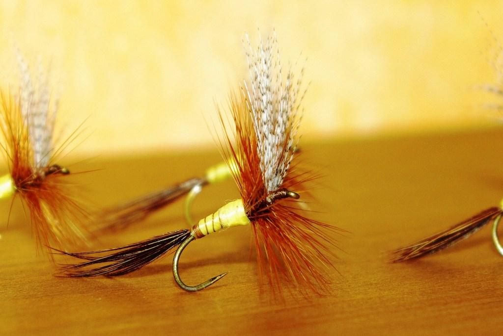 Fiche de montage : C606 Mouche de mai