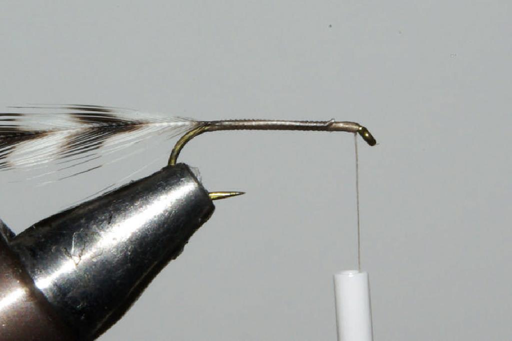 Montage de mouche