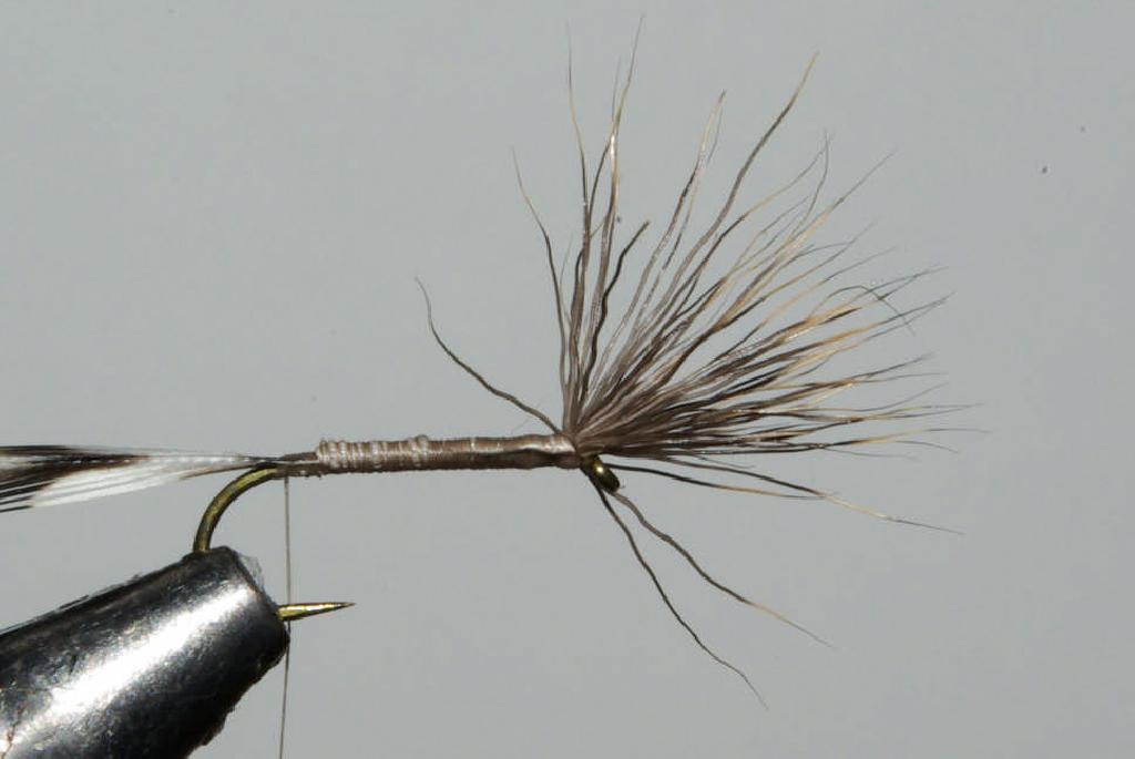 Montage de mouche
