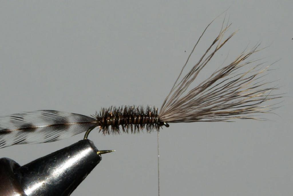 Montage de mouche