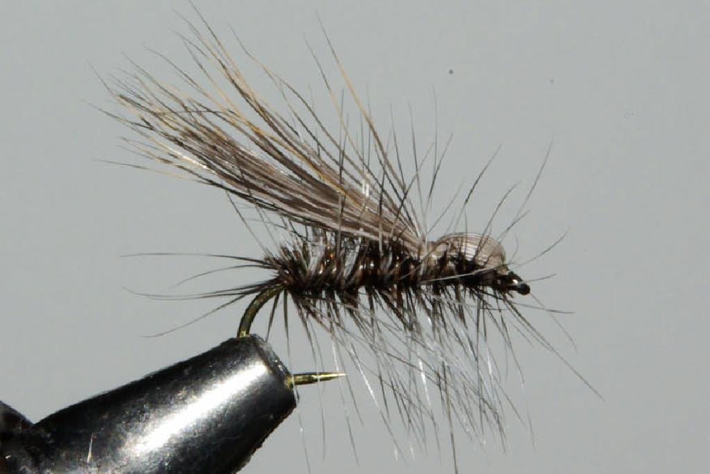 Montage de mouche