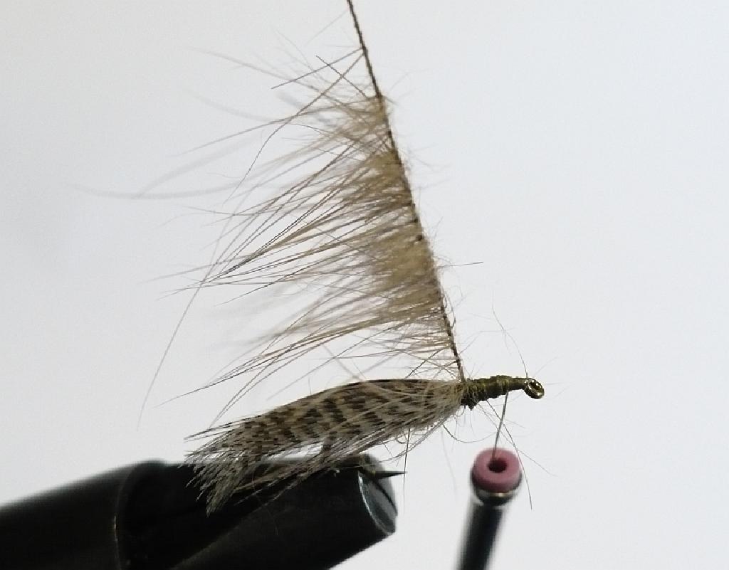 Montage de mouche