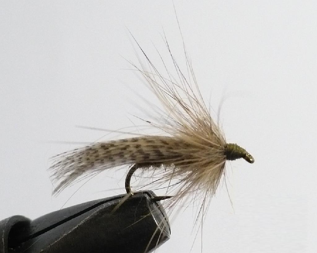 Fiche de montage : Sedge Echange Avril 2009