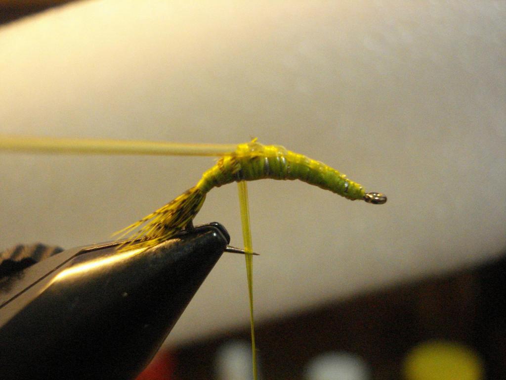Montage de mouche