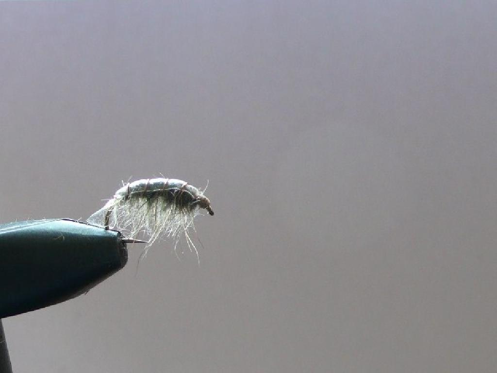 Montage de mouche