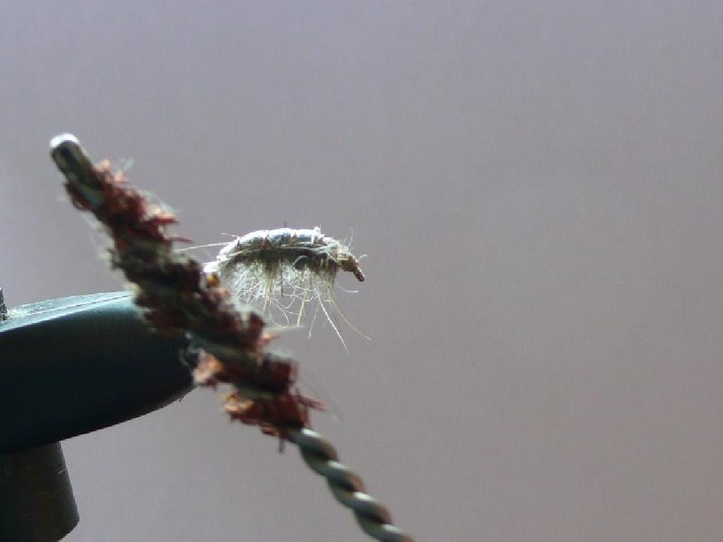 Montage de mouche