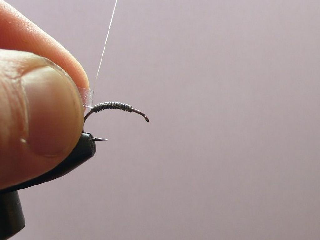 Montage de mouche