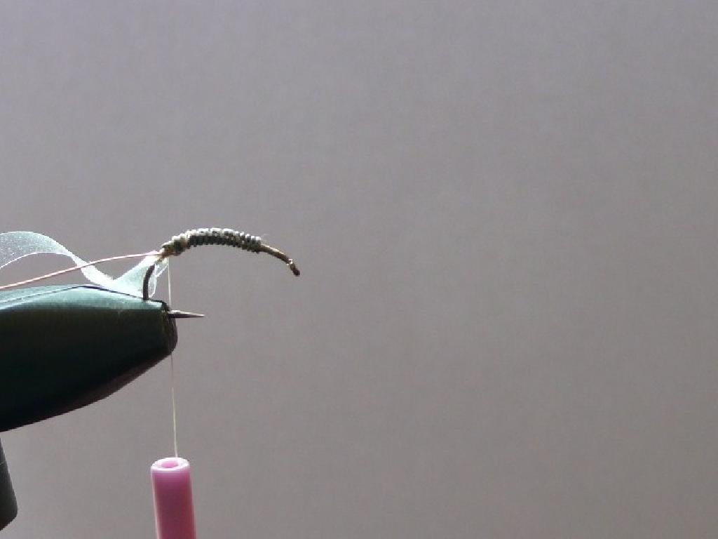Montage de mouche