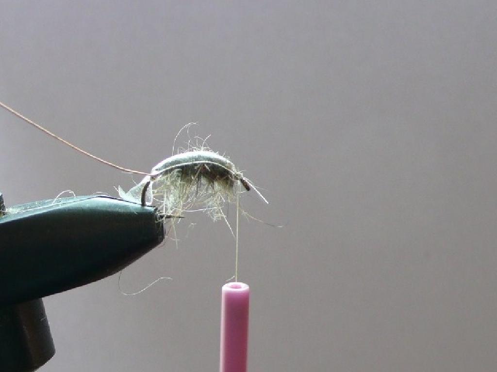 Montage de mouche