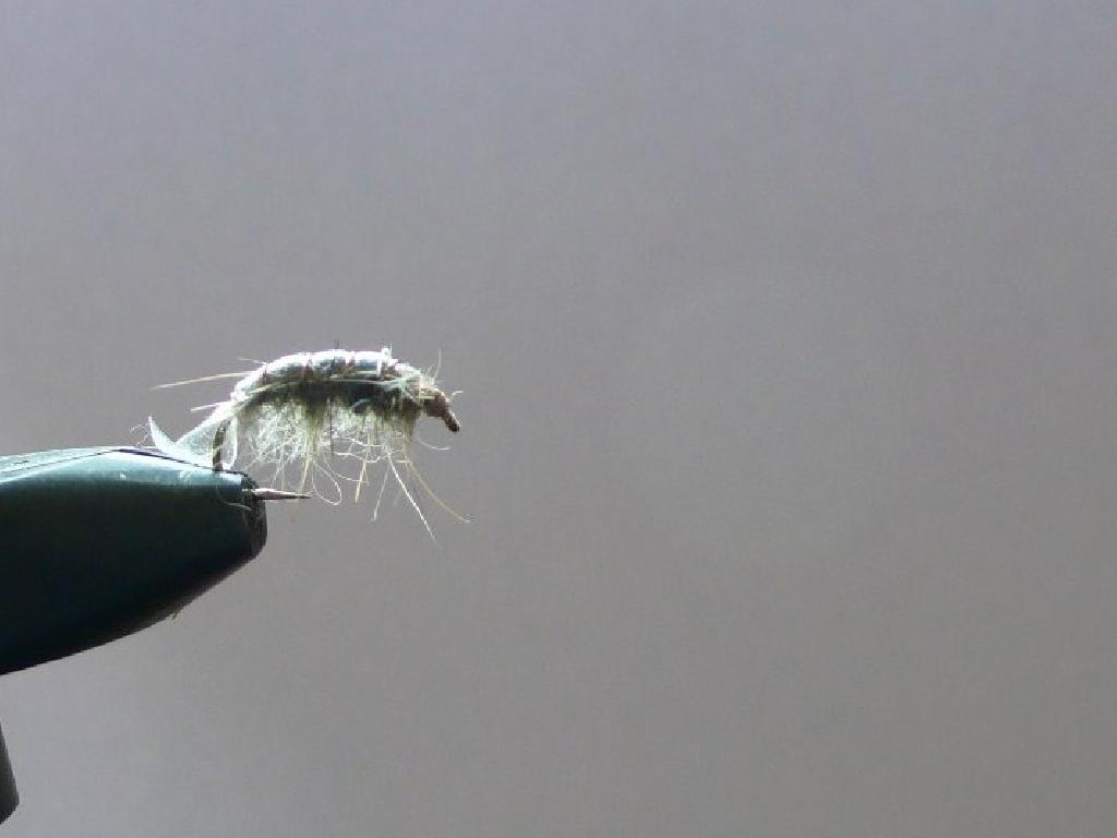 Montage de mouche