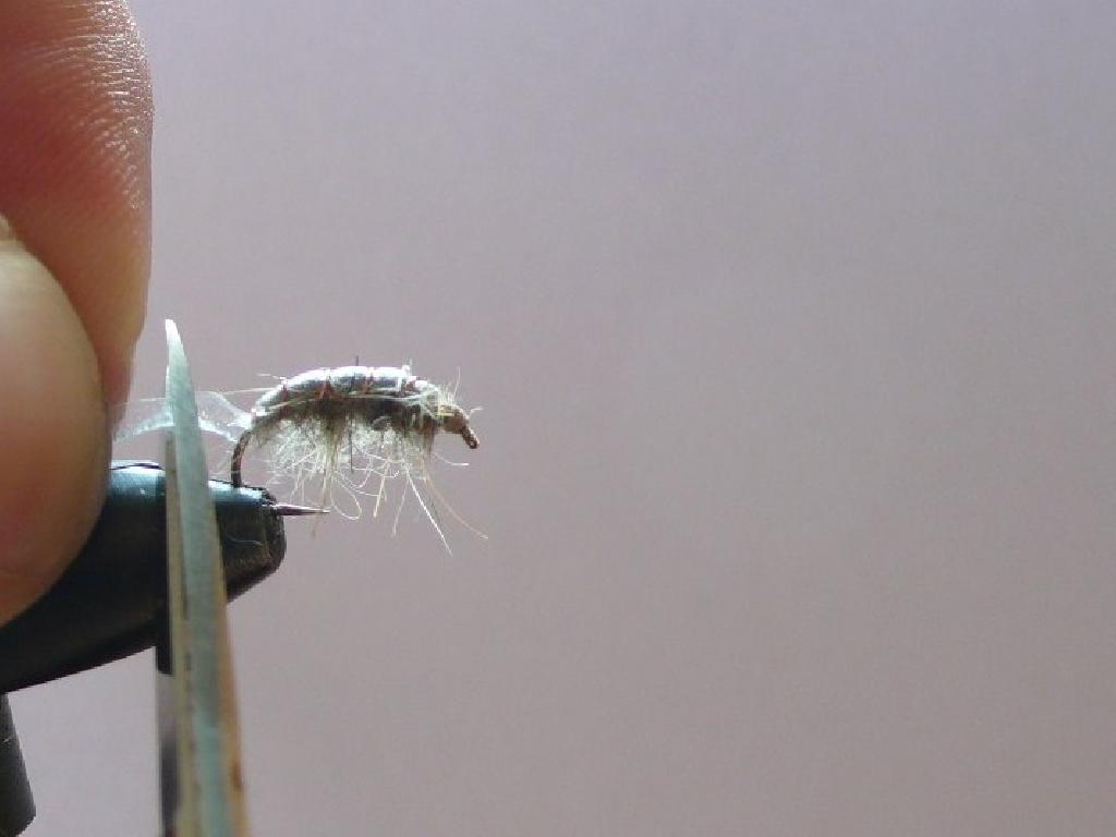 Montage de mouche