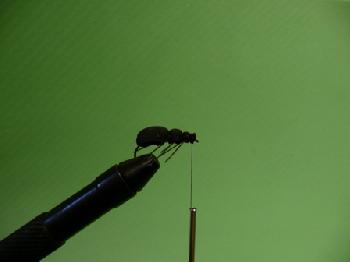 Montage de mouche