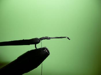 Montage de mouche