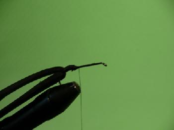 Montage de mouche