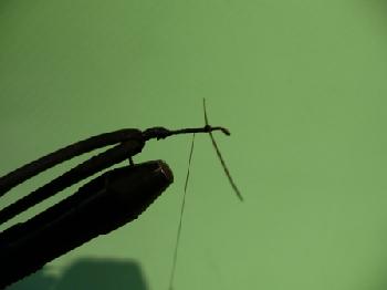 Montage de mouche