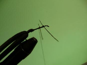 Montage de mouche