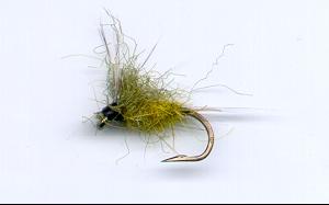 Nymphe de BWO flottante
