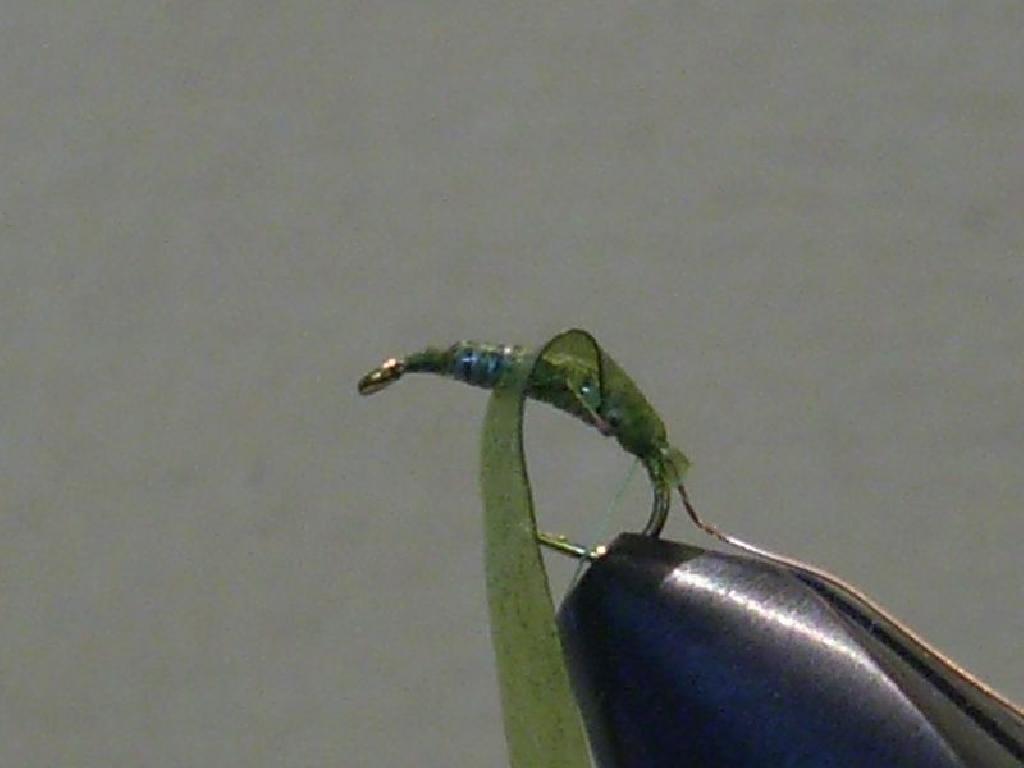 Montage de mouche