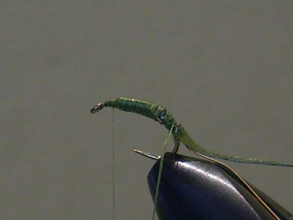 Montage de mouche