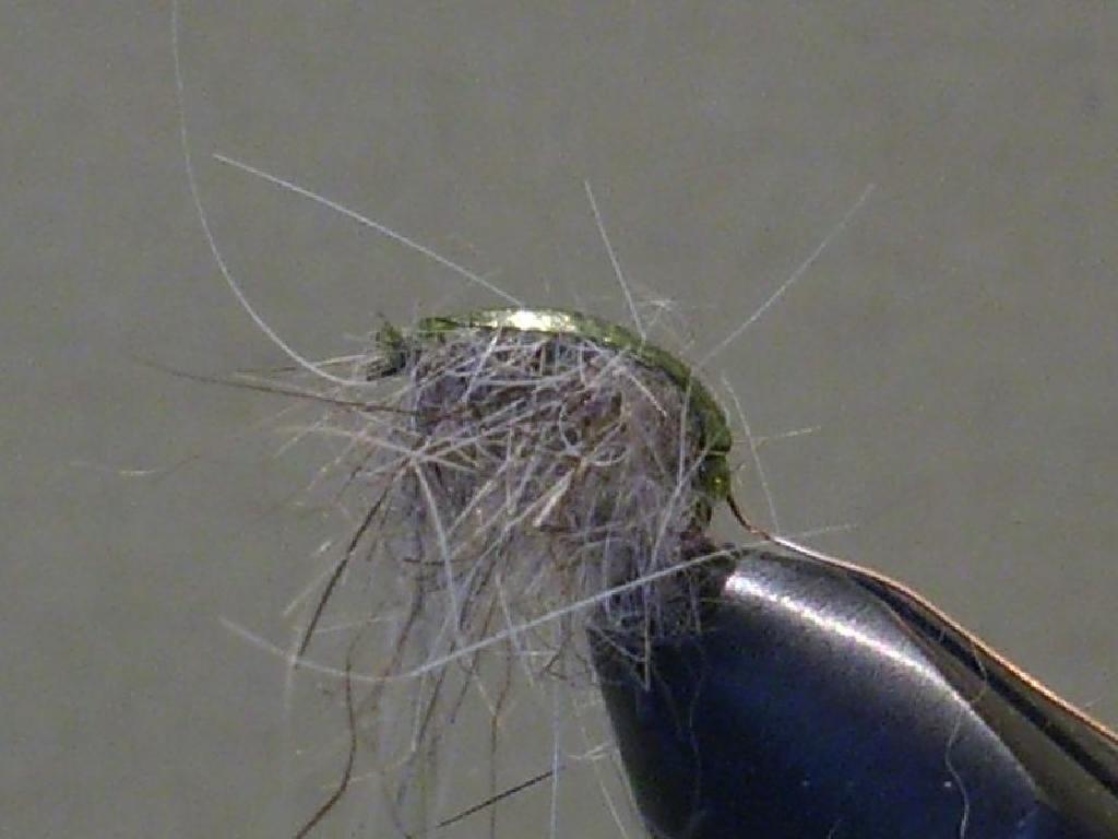 Montage de mouche