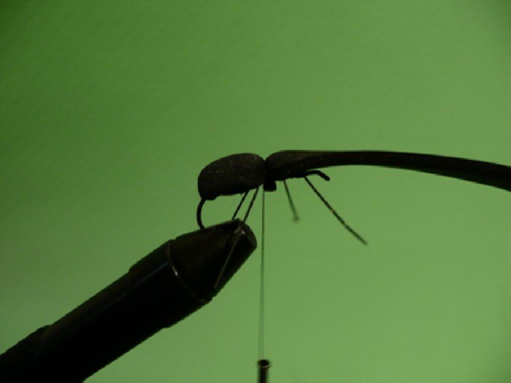 Montage de mouche
