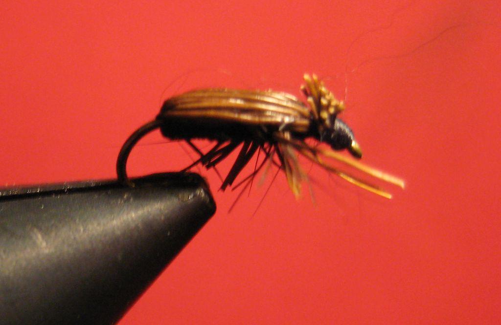 Montage de mouche