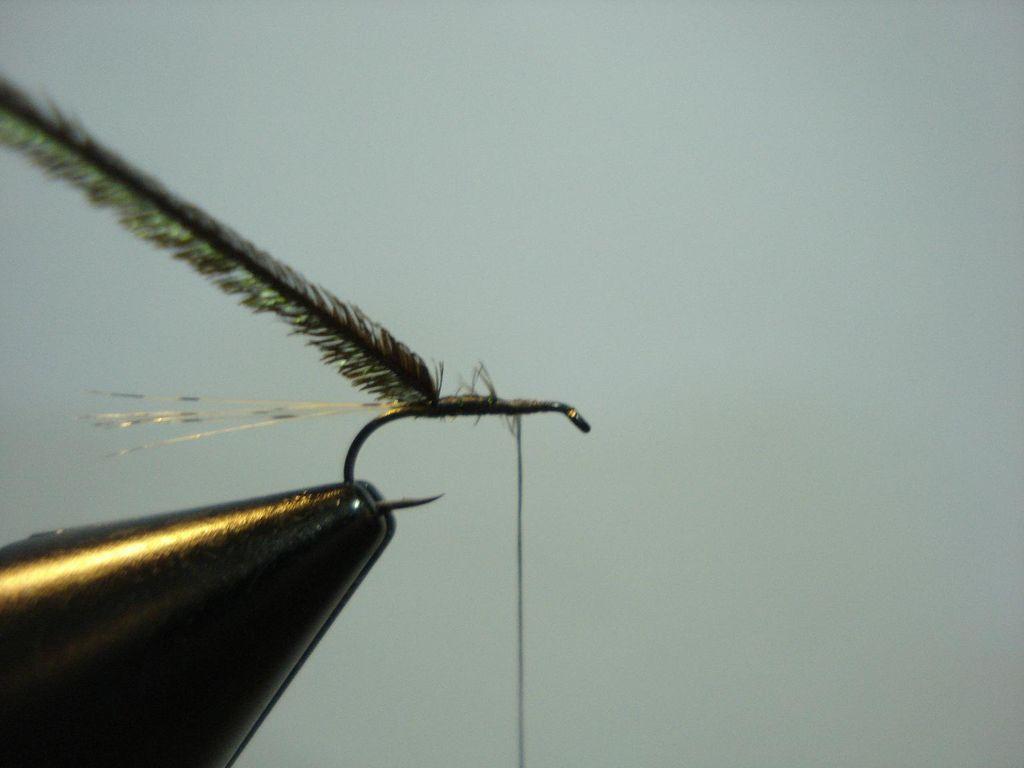 Montage de mouche