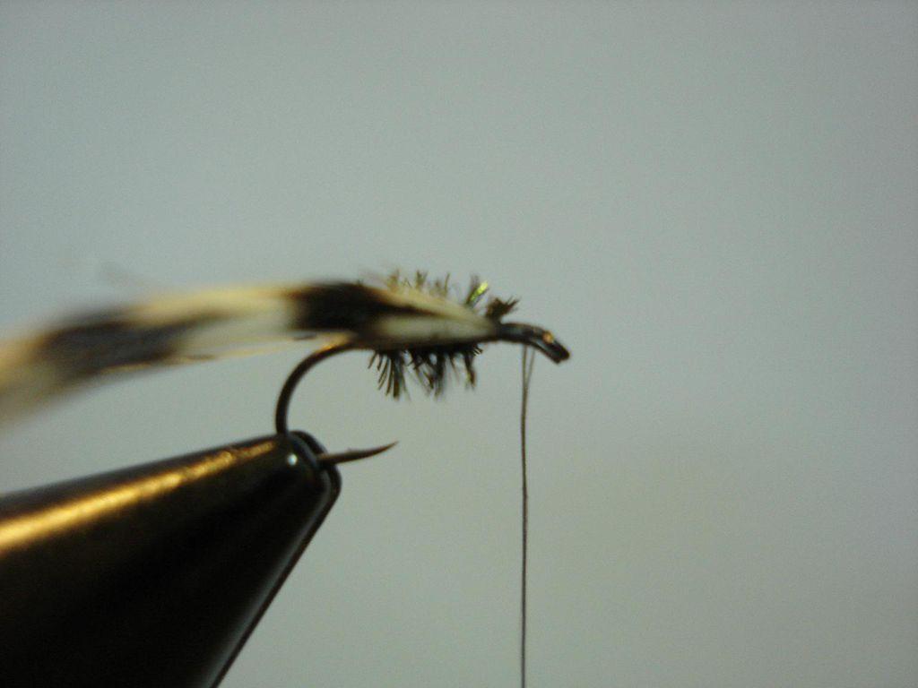 Montage de mouche