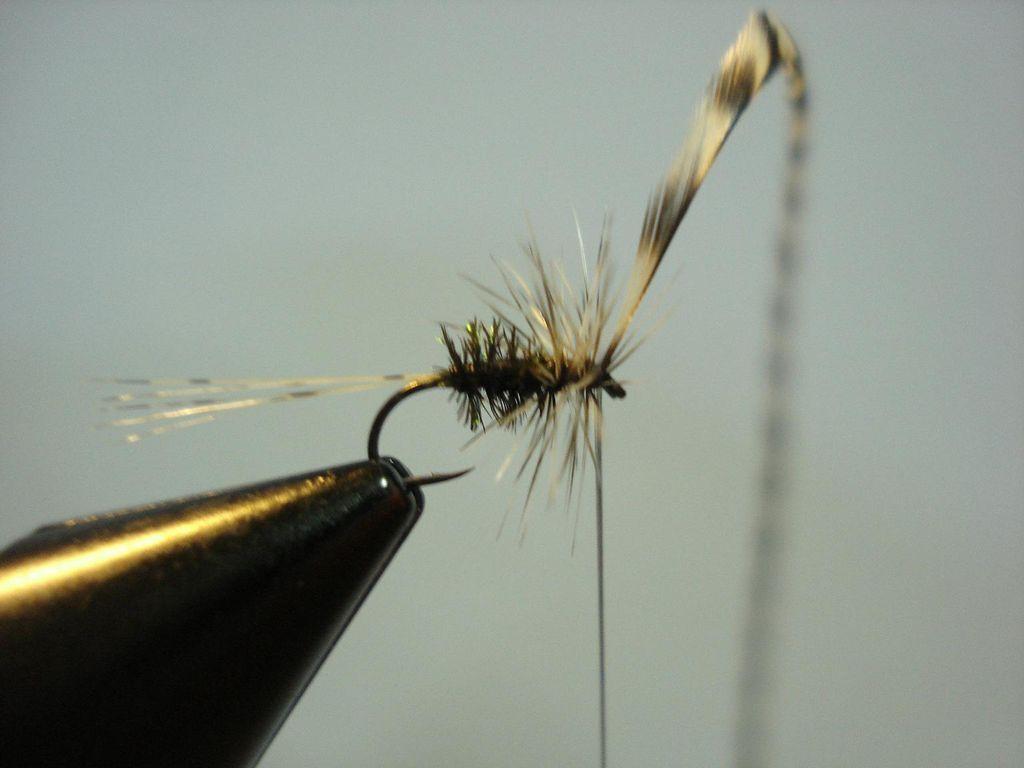 Montage de mouche