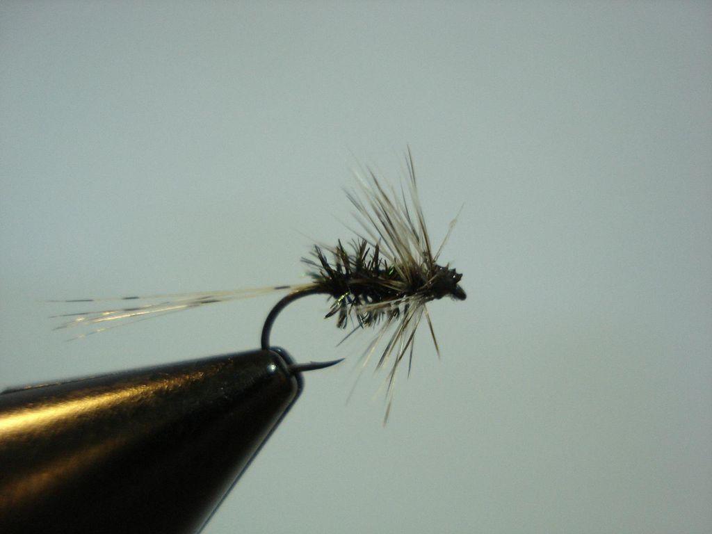 Fiche de montage : Moucheron