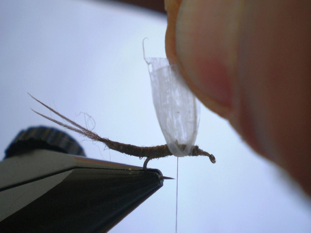 Montage de mouche
