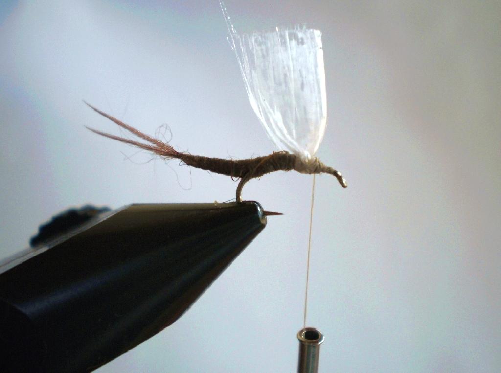 Montage de mouche