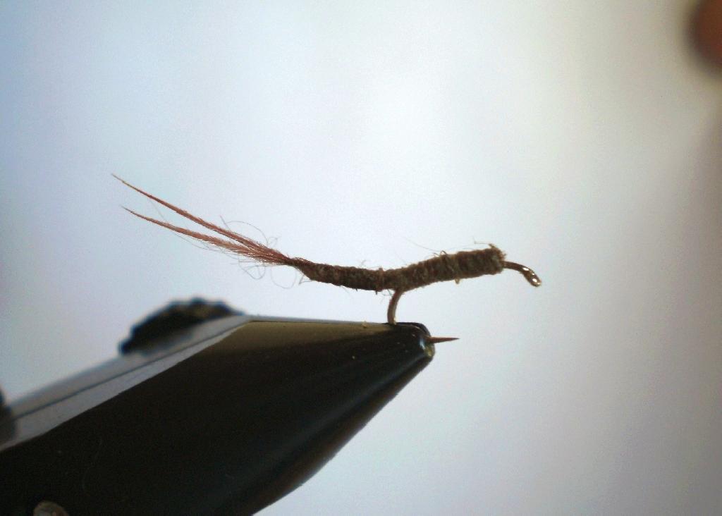 Montage de mouche