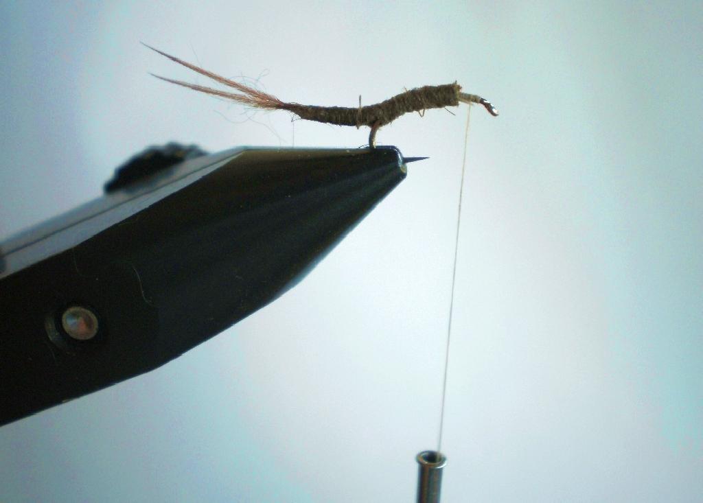 Montage de mouche