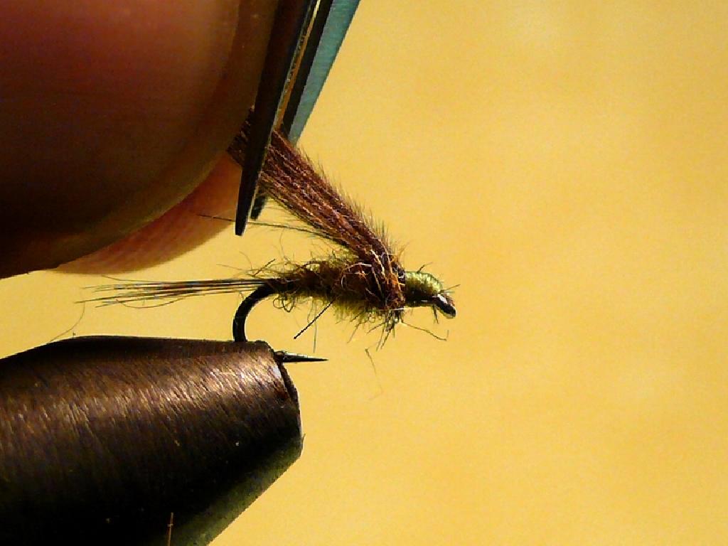 Montage de mouche