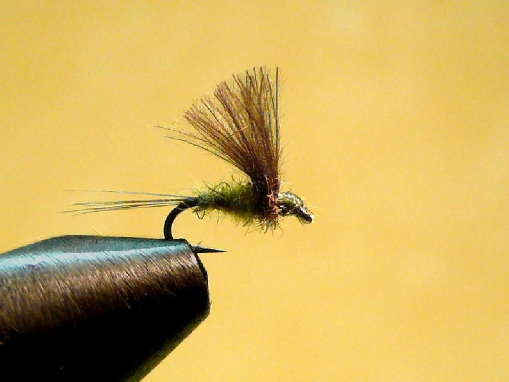 Montage de mouche