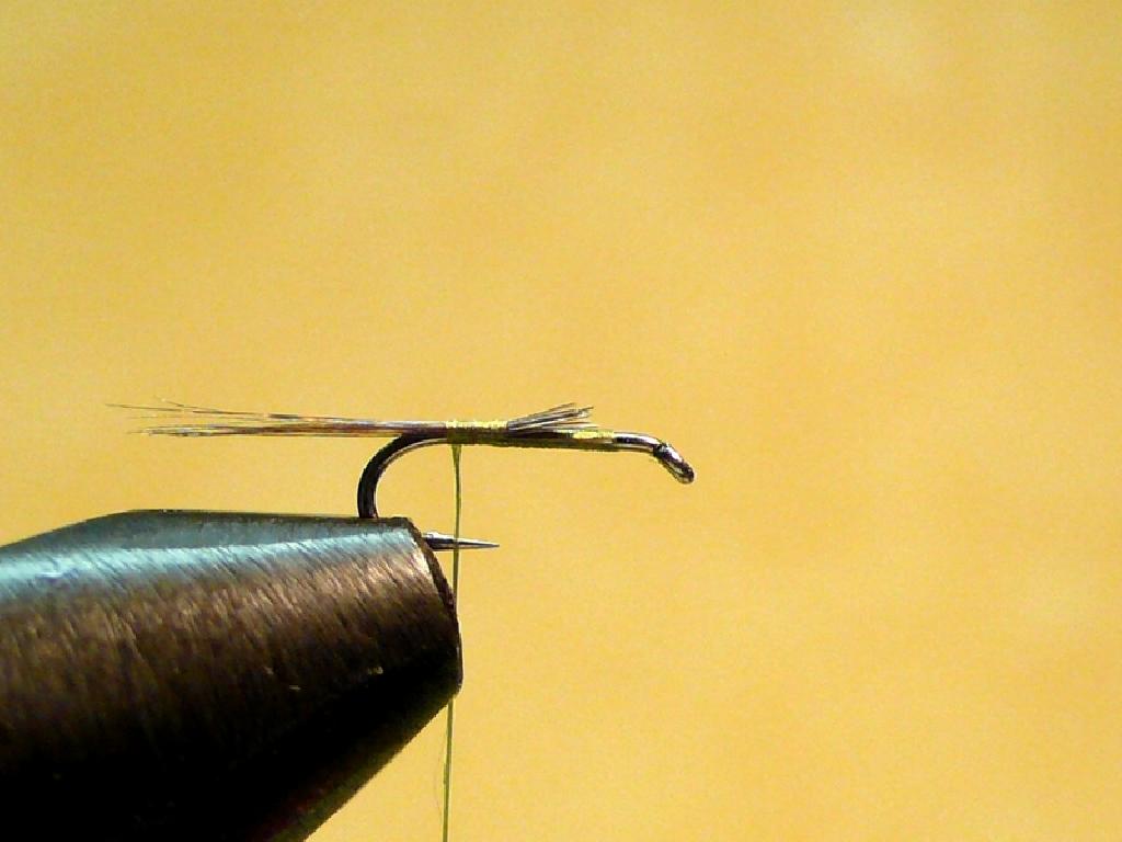 Montage de mouche