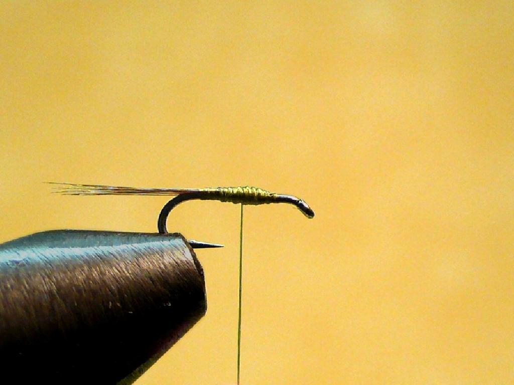 Montage de mouche